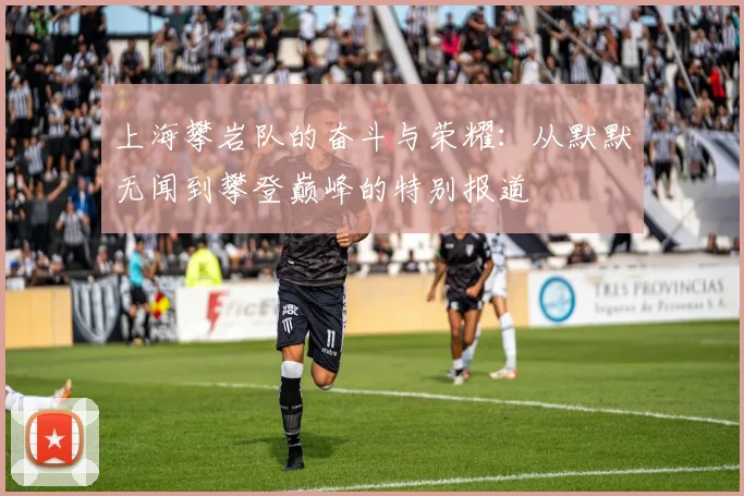 上海攀岩队的奋斗与荣耀：从默默无闻到攀登巅峰的特别报道